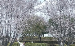 男的插曲女的 欢迎你